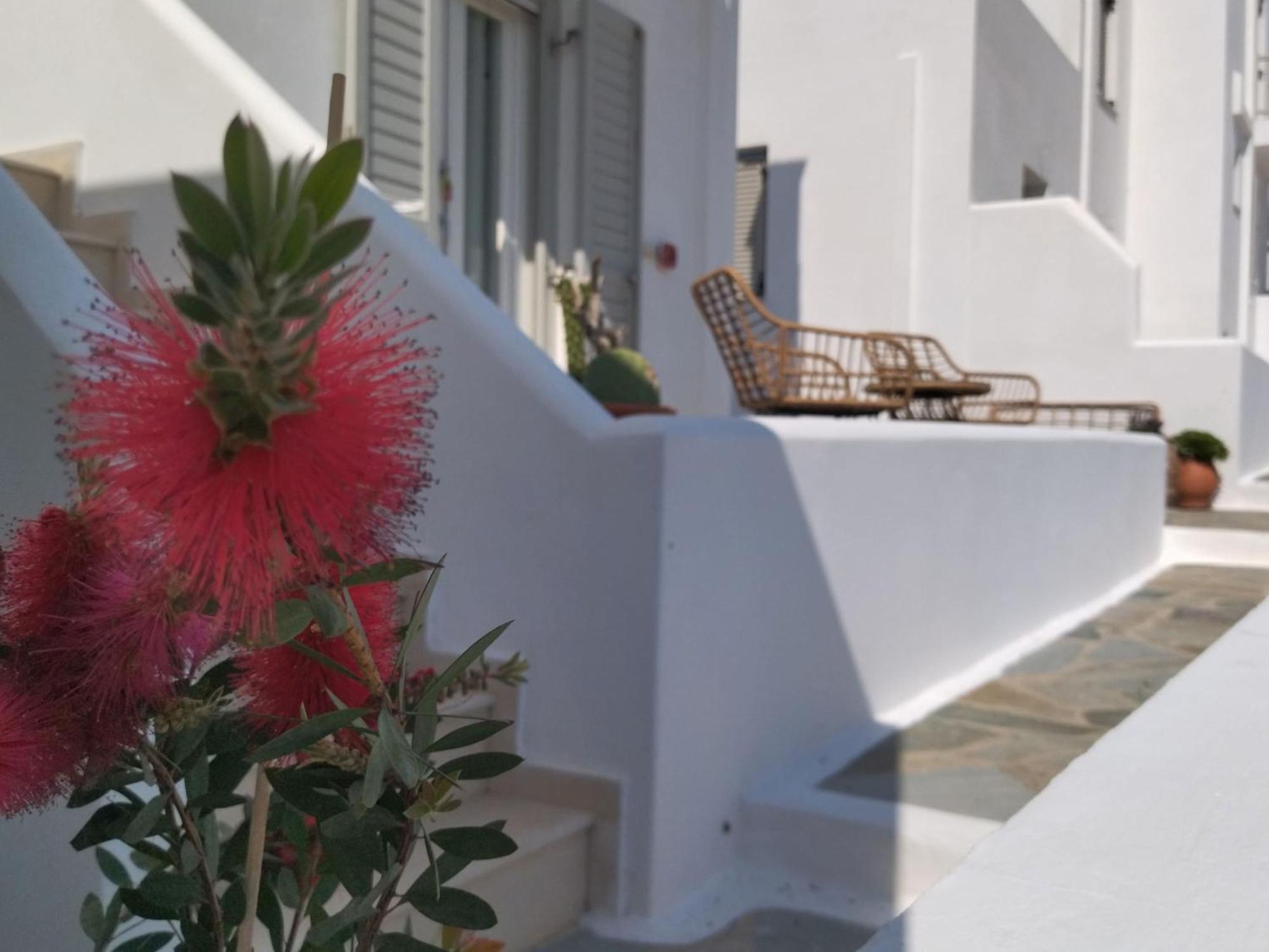 Gaia Serifos Apartments Rámos Kamer foto